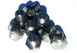 Inox hub caps, hub caps screws